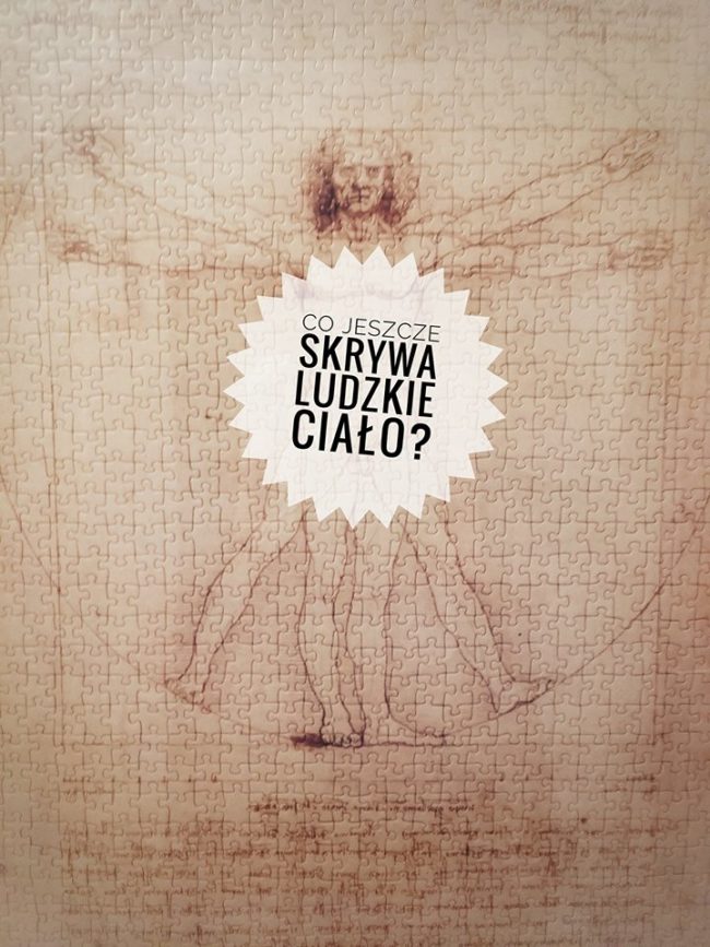 26241867_1538668289502946_1450653586_n